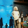 Antalya: Aquarium and Wax Museum Entry Ticket
